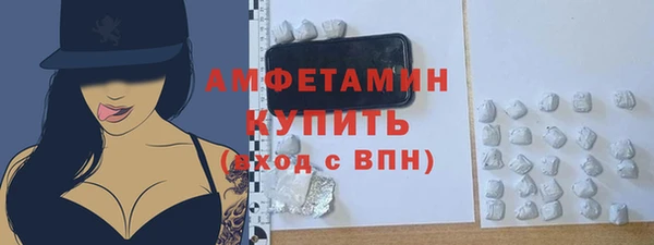 гидра Краснослободск