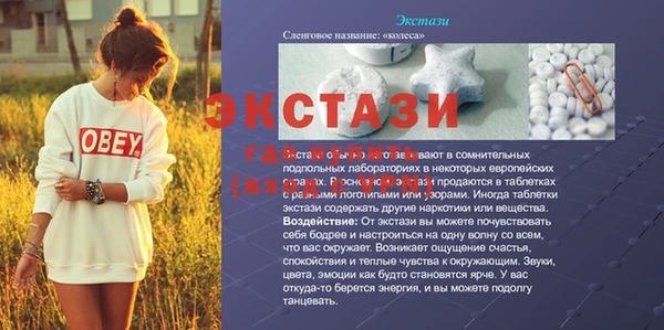 гидра Краснослободск
