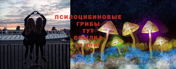 гидра Краснослободск