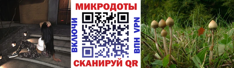 как найти наркотики  Кремёнки  Галлюциногенные грибы GOLDEN TEACHER 